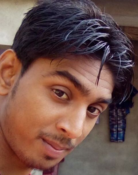 RIS.jpg