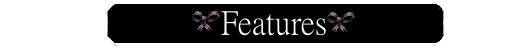 features.png