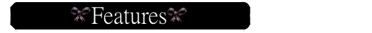 features2.png