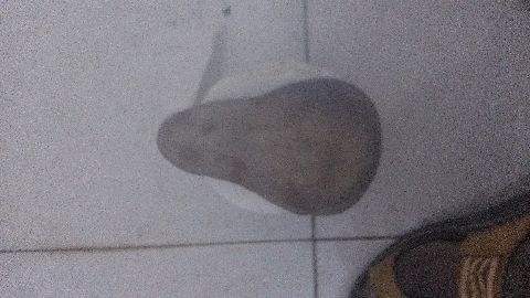 RIS.jpg