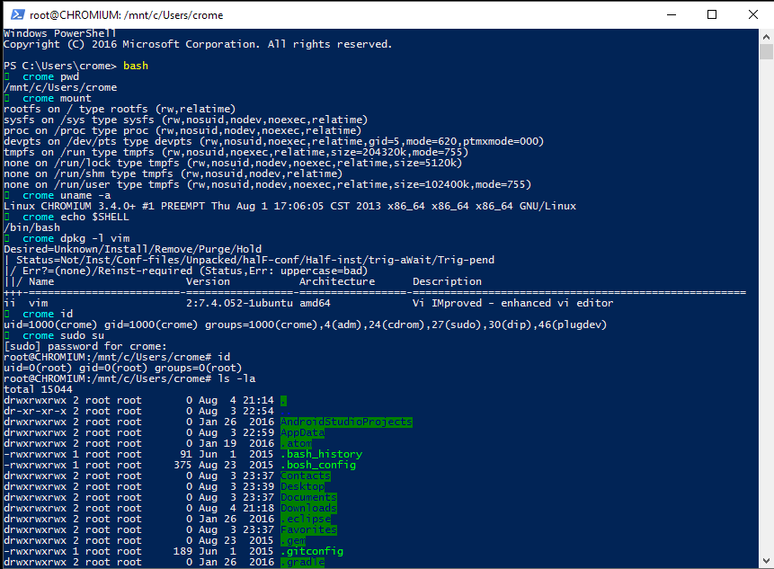 bash.PNG