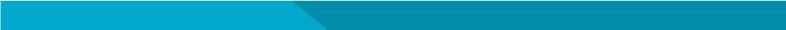 nss_bottom_line.png
