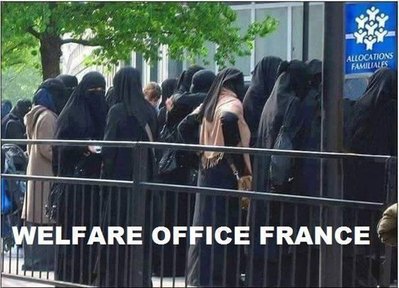 rsz_welfare_france.jpg