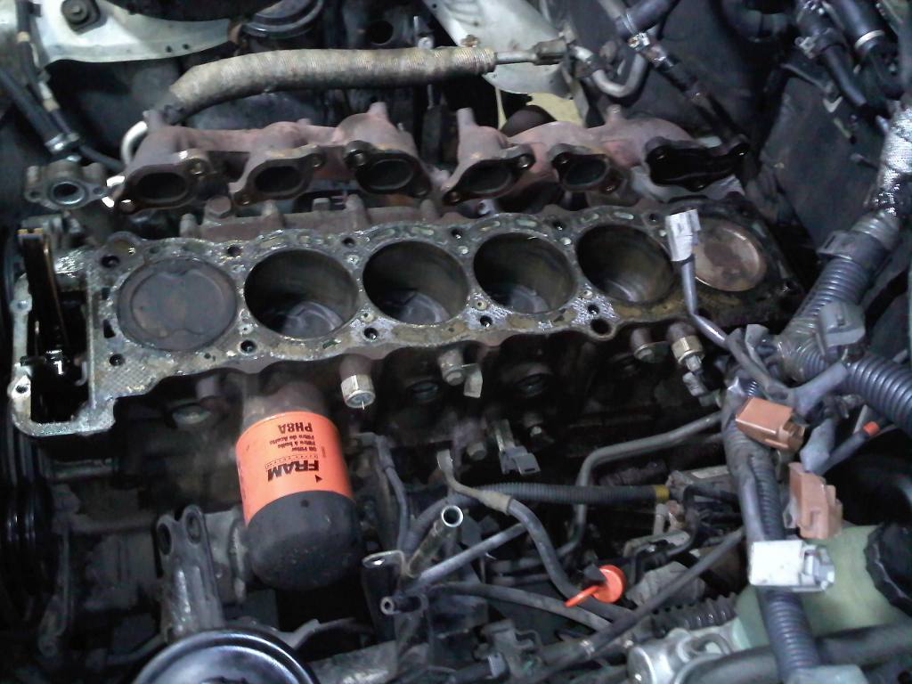 IMG030a.jpg