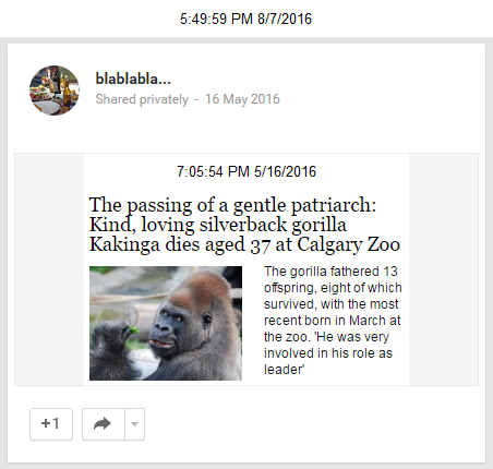 8-7-20165-49-59PM.png