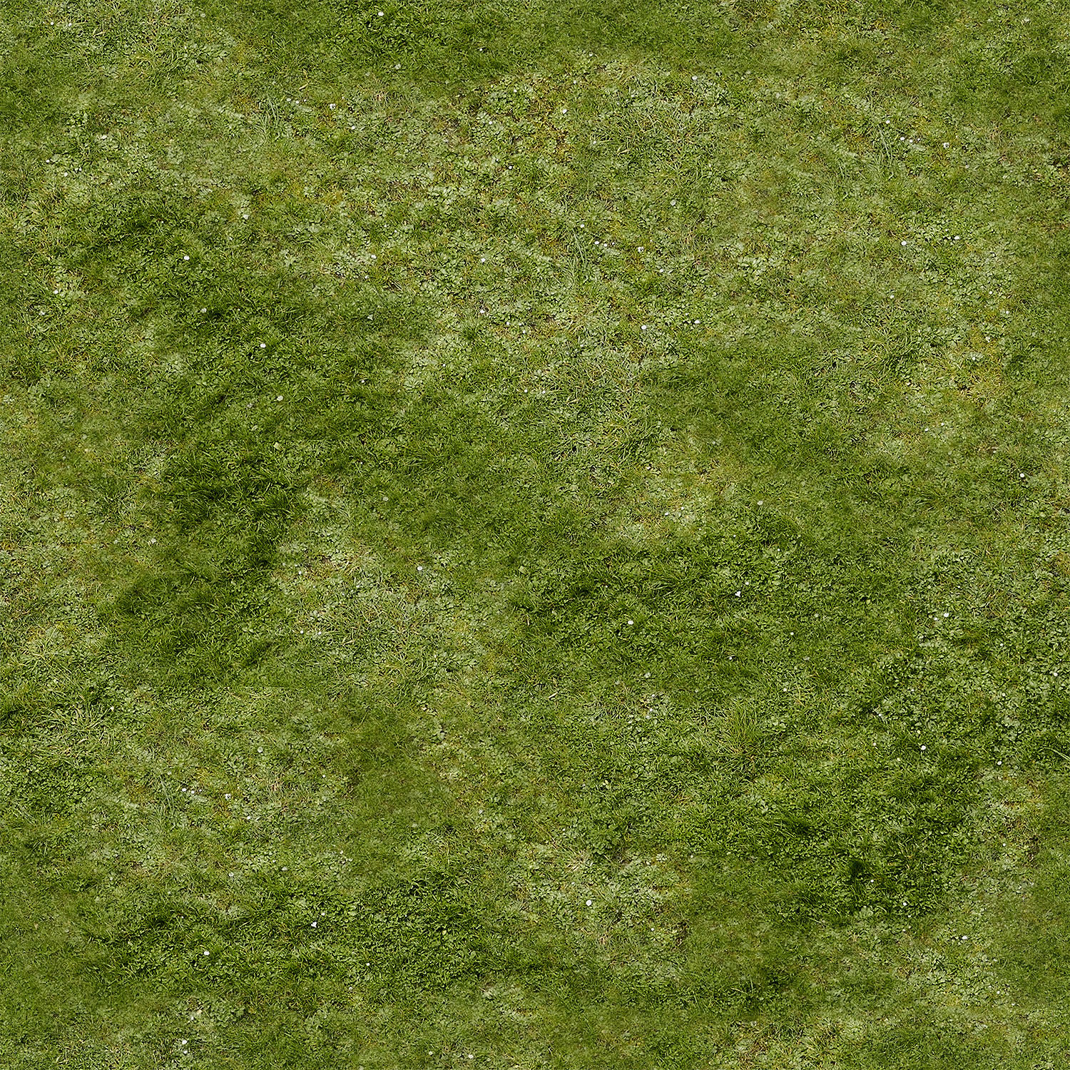 GrassSeamless.jpg