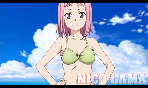 RIS.jpg