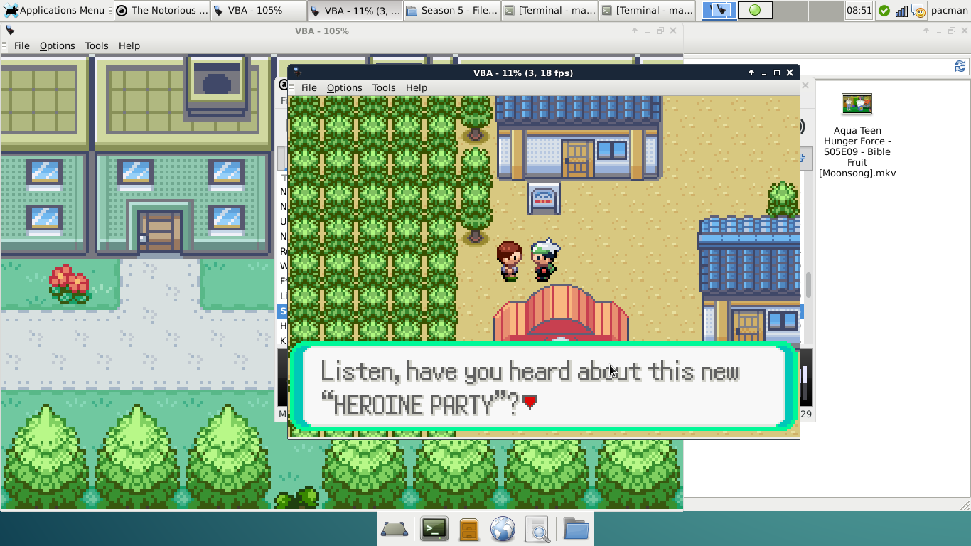 Pokemon Heroine Party