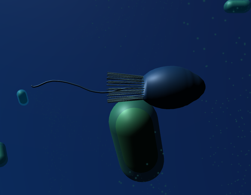 Choanoflagellate
