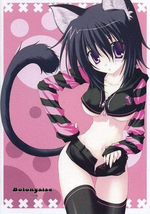 RIS.jpg