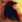 TheVanishingOfEthanCarter-22x22.png