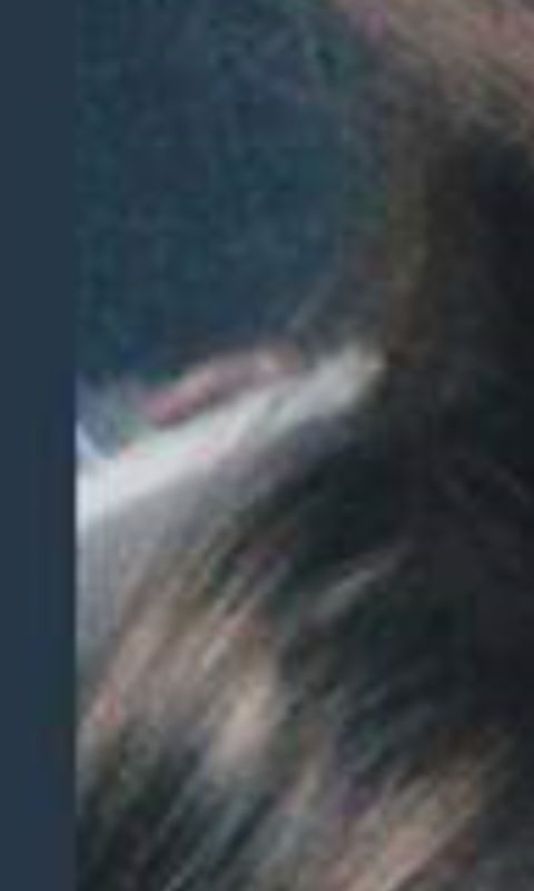 RIS.jpg