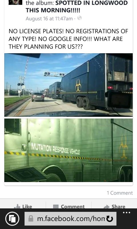 RIS.jpg