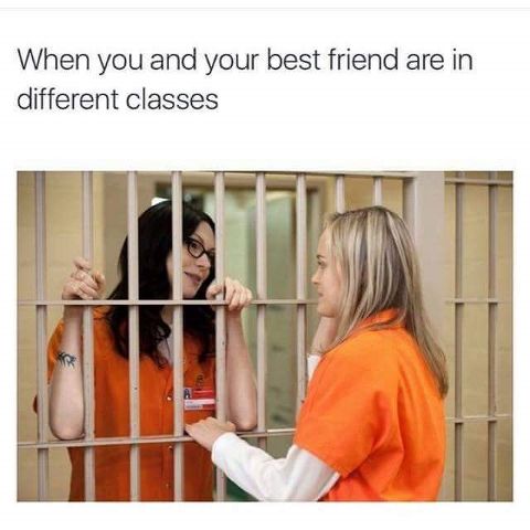RIS.jpg