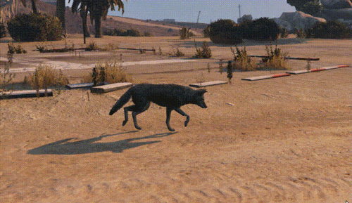Opazdun.gif