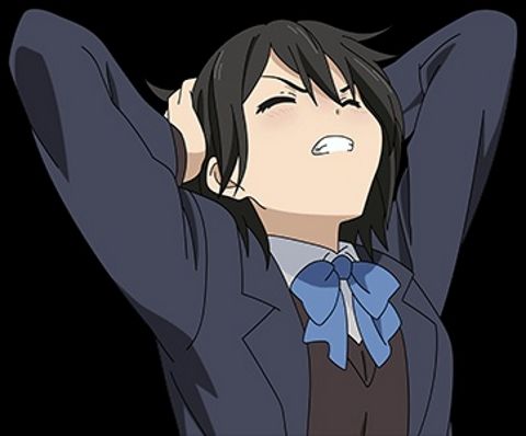 RIS.jpg