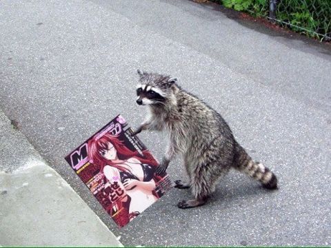 RIS.jpg