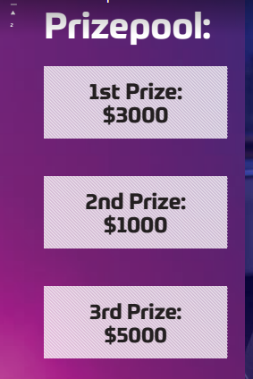 Prize Pool Distribution