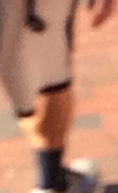 image.jpeg