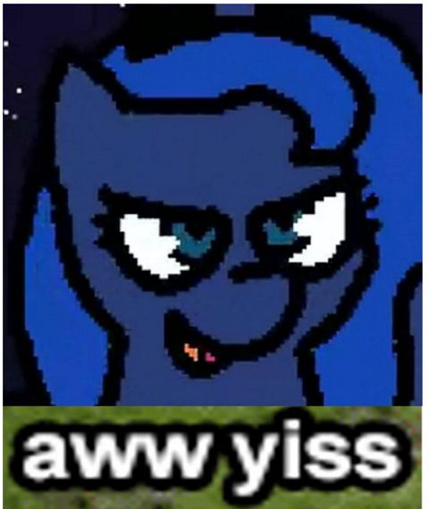 RIS.jpg