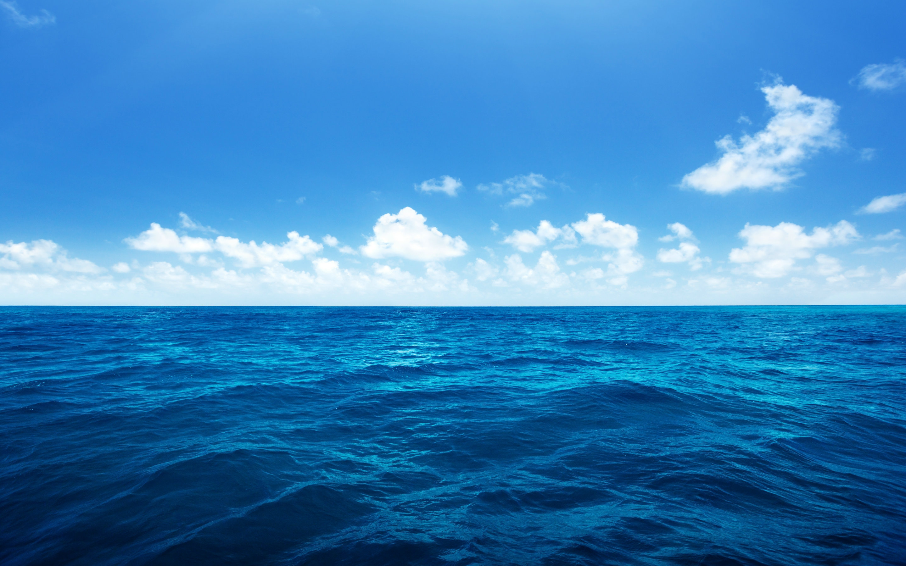 sea-08.jpg