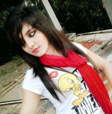 RIS.jpg