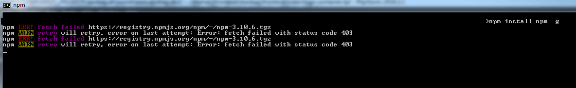 npm-error.png