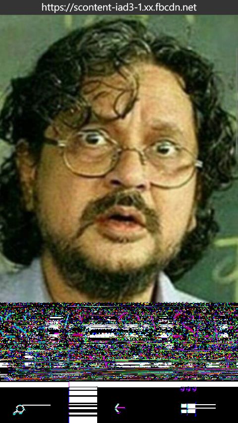 RIS.jpg