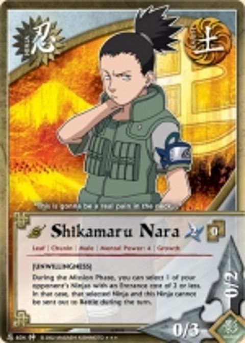 RIS.jpg