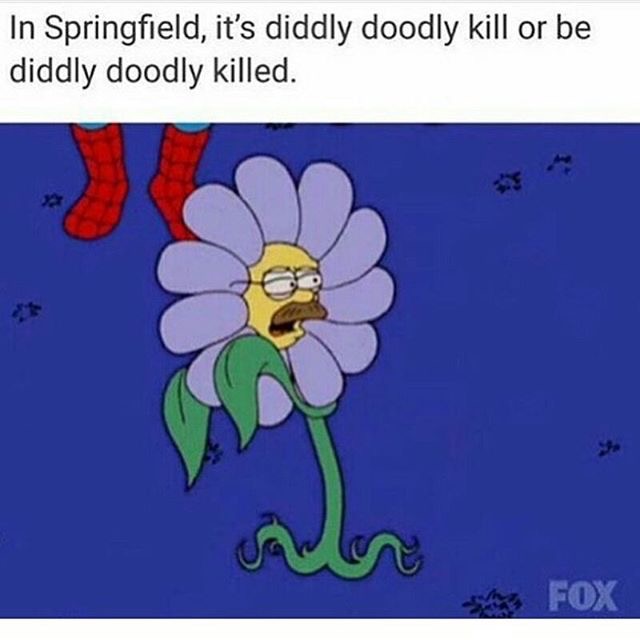 image.jpeg