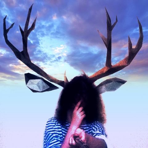 RIS.jpg