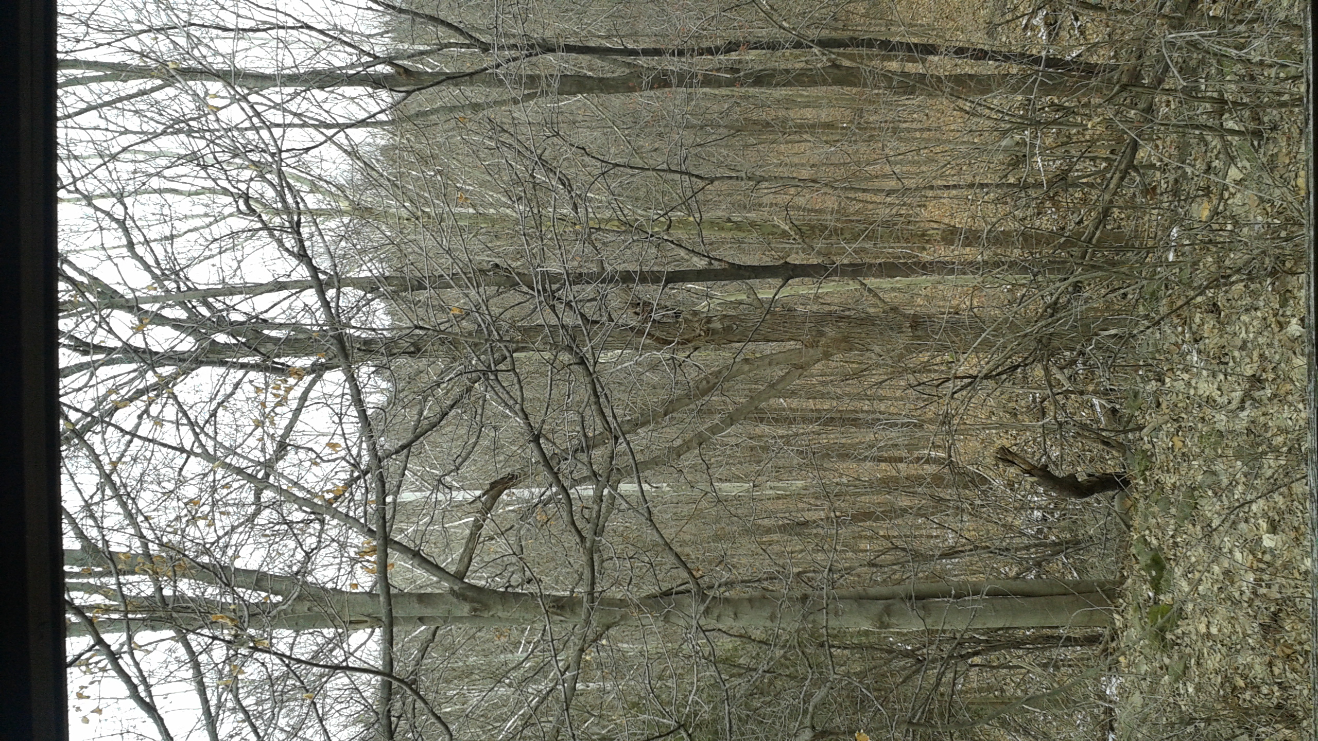 20131208_110326.jpg