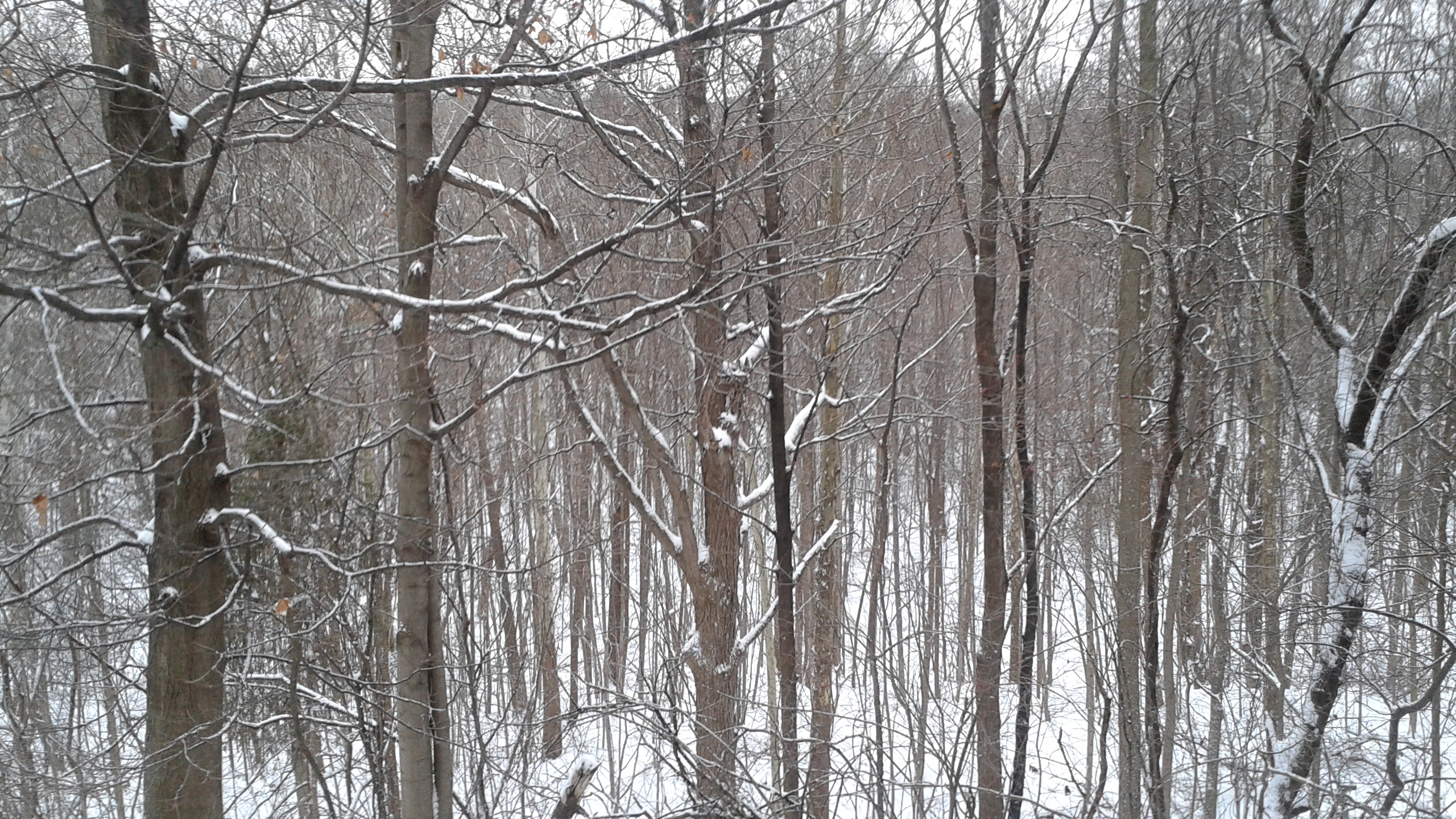 20131215_084925.jpg