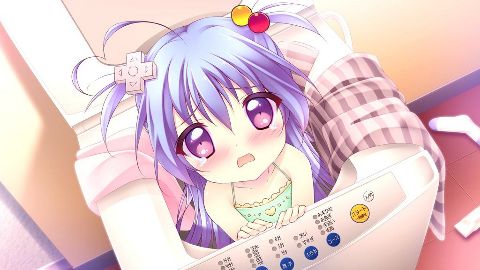 RIS.jpg