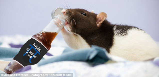 rat2.jpg