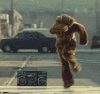 201.gif