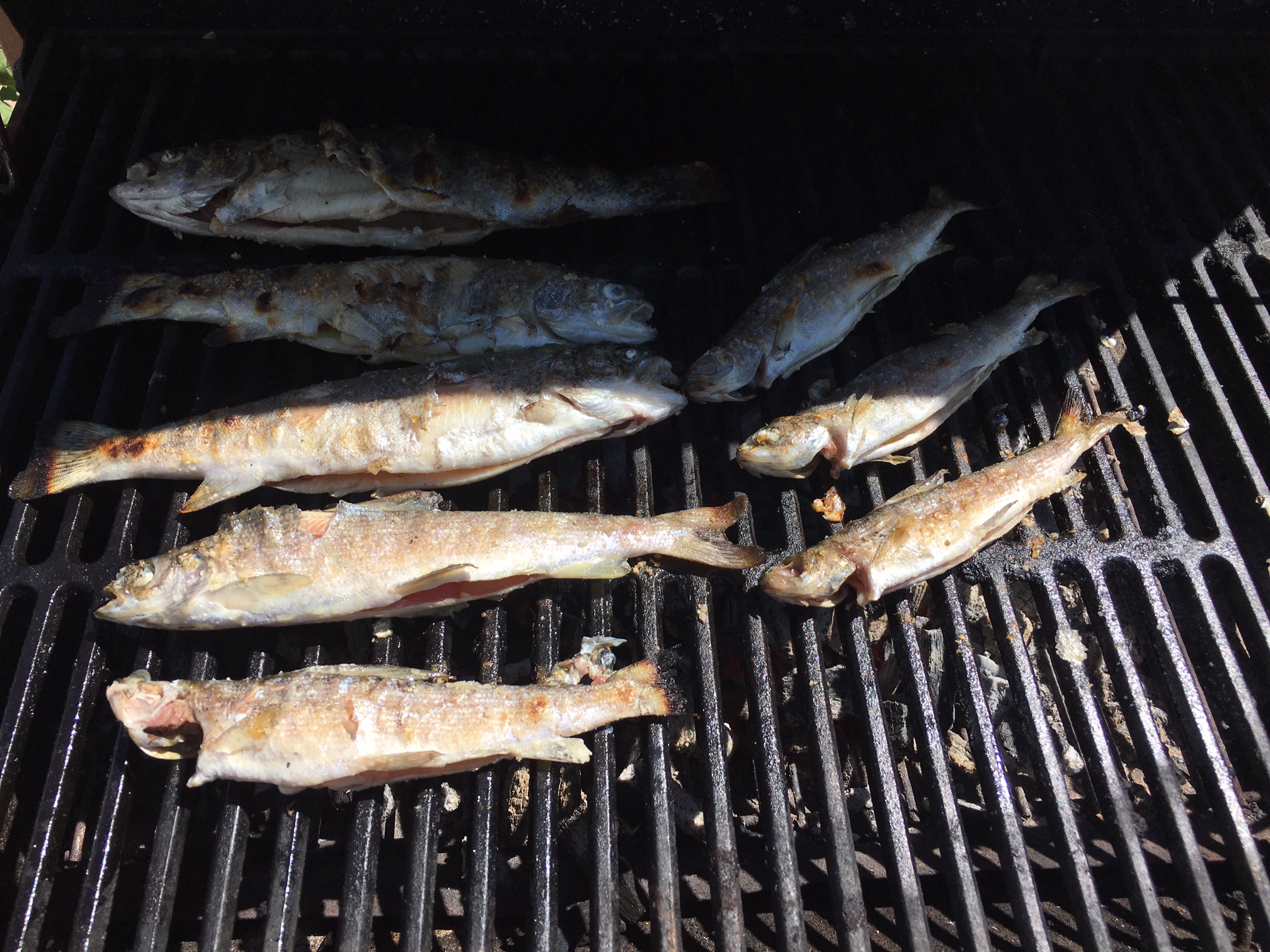fish cooking