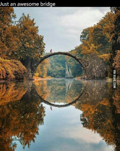 RIS.jpg