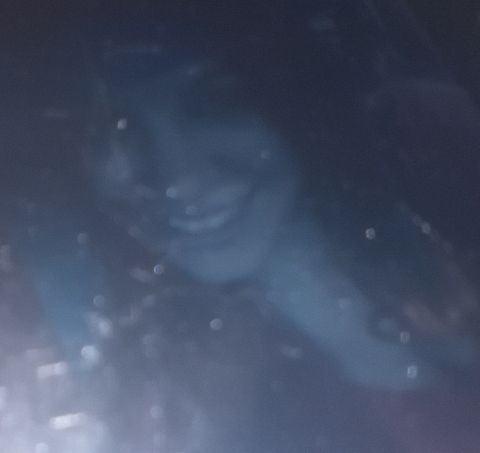 RIS.jpg