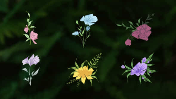 59862845-flower-romantic.jpg