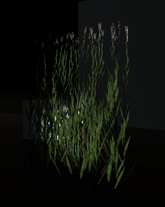 Dark