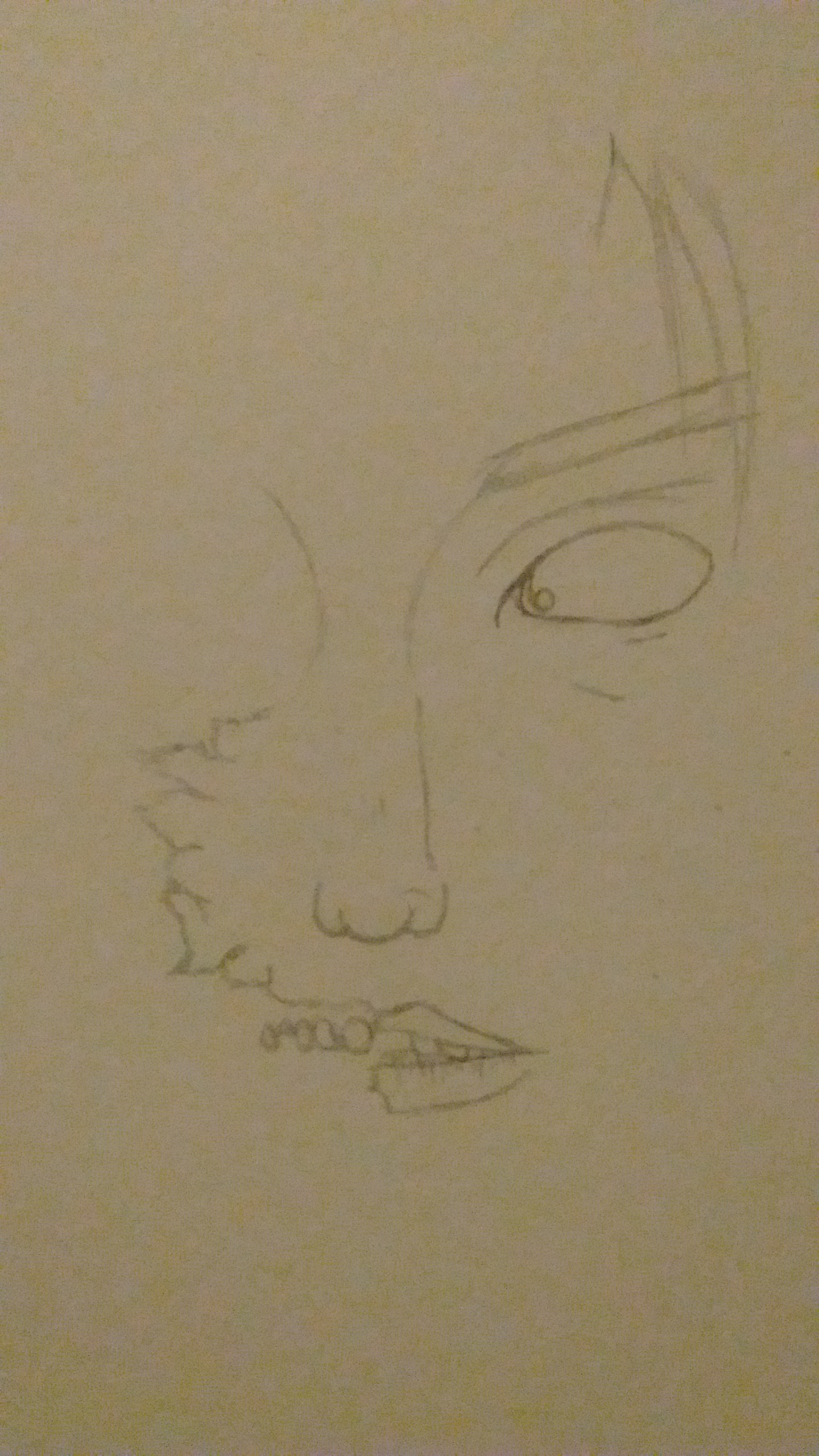 Untitled.png