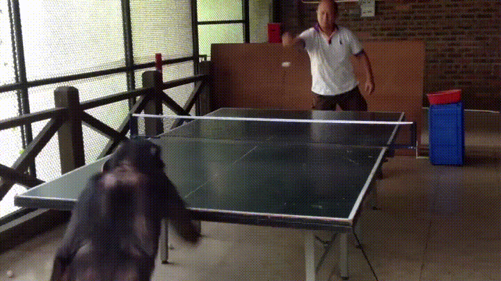 z1mXiv1.gif