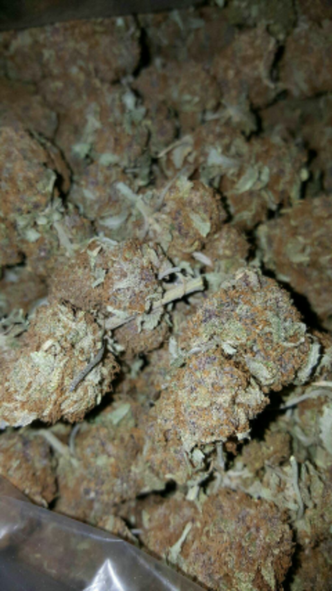 Purple urkle