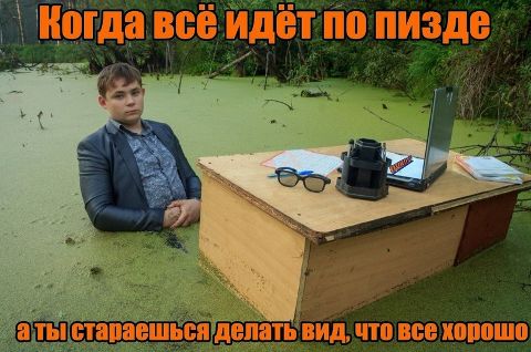 RIS.jpg