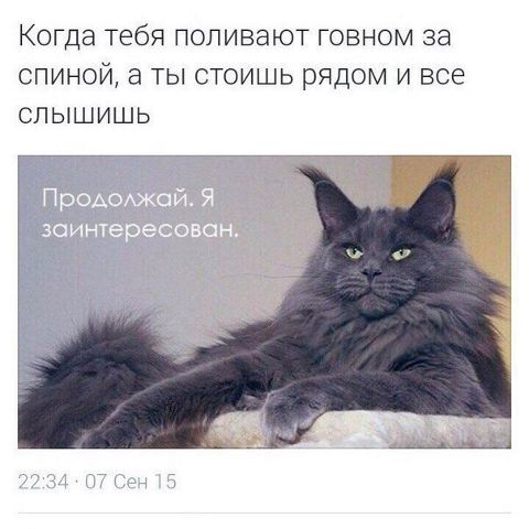 RIS.jpg
