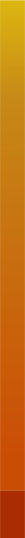 banner-container-back.png