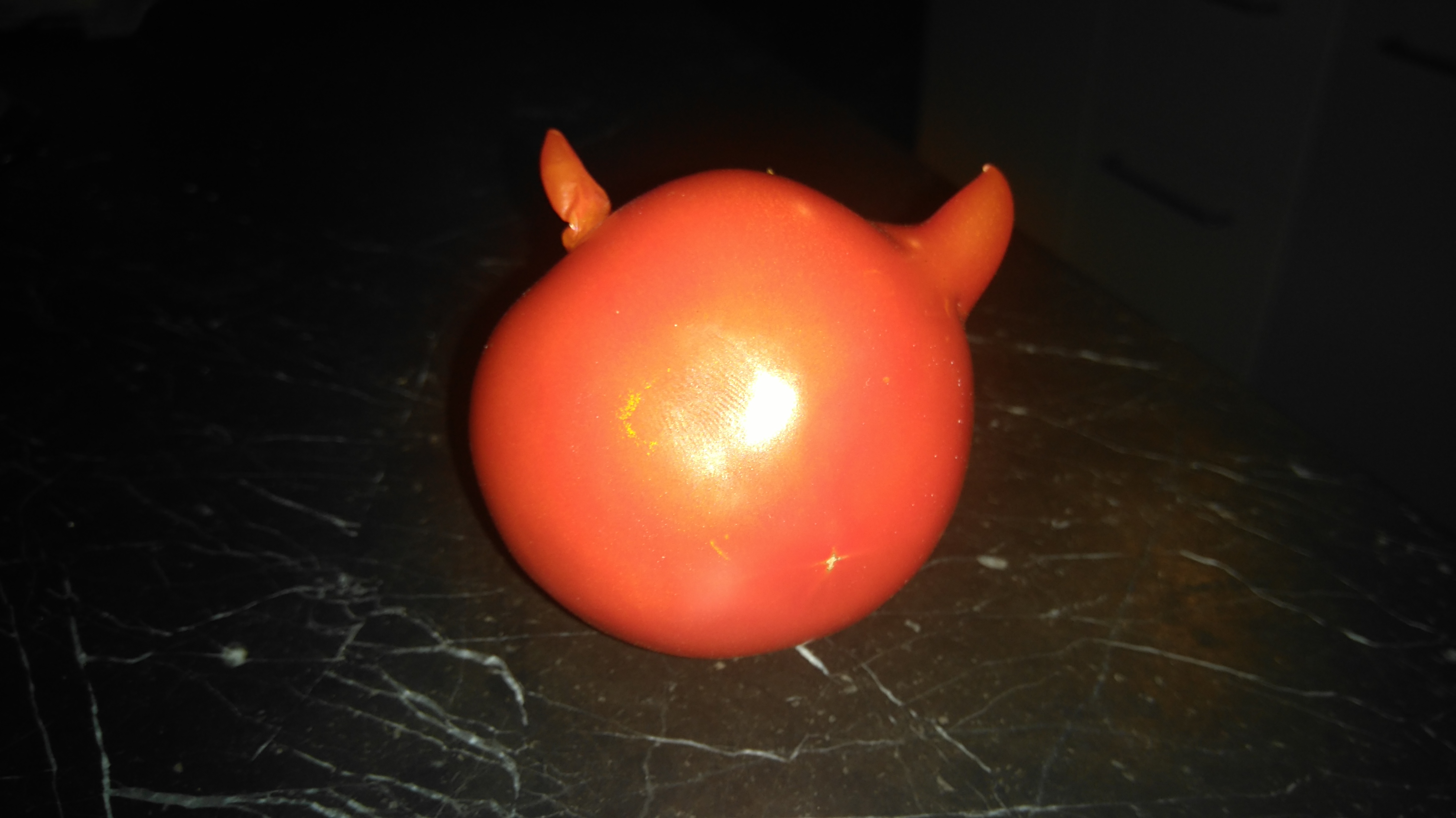 bsd tomato