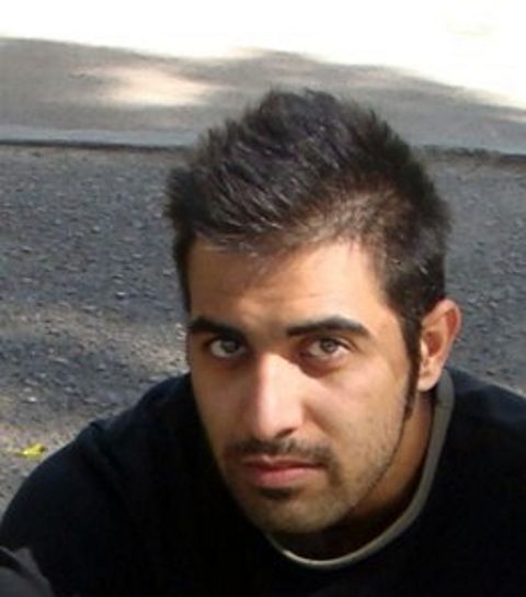 RIS.jpg
