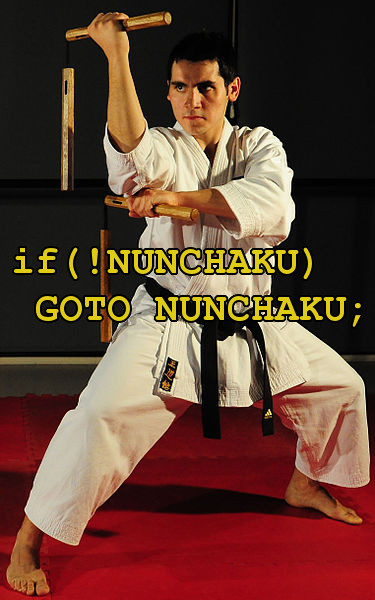 goto-nunchaku.jpg